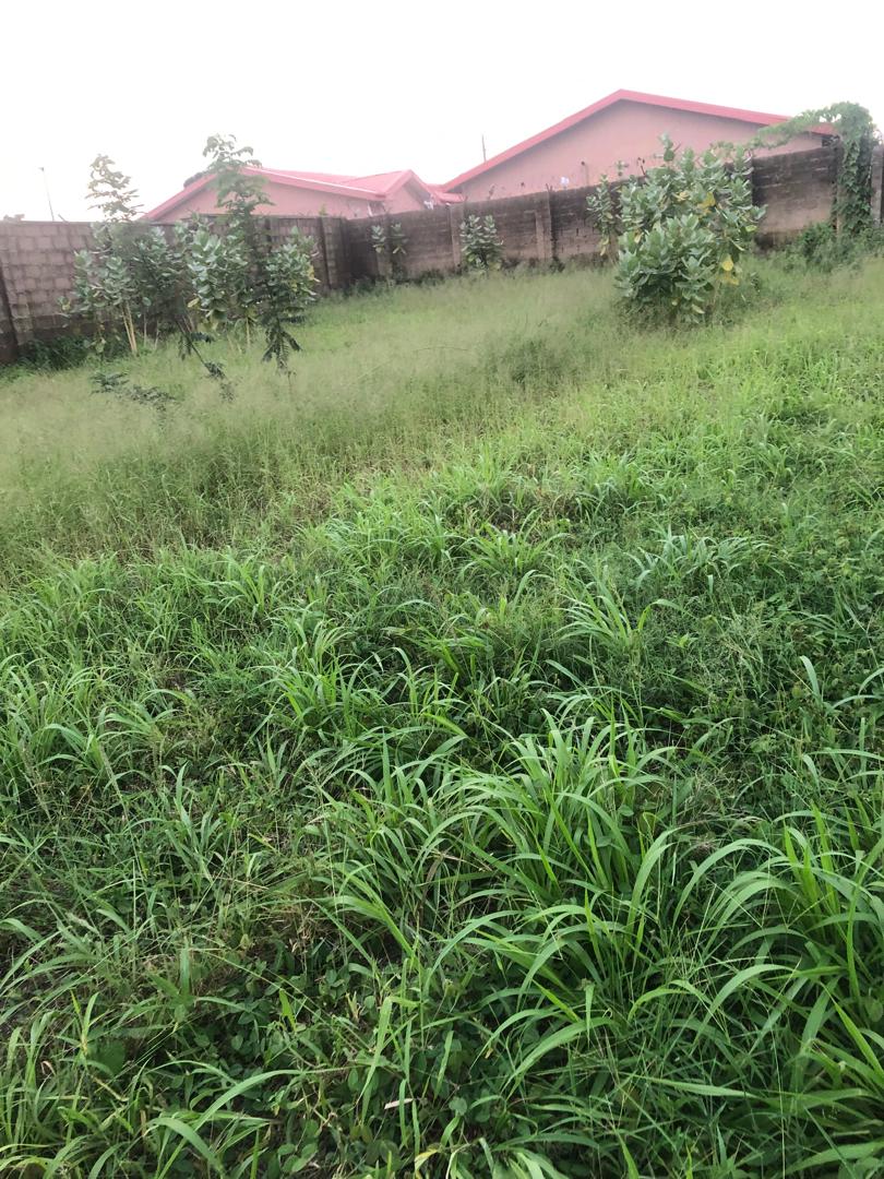 Land for Sale in Minna, Niger
