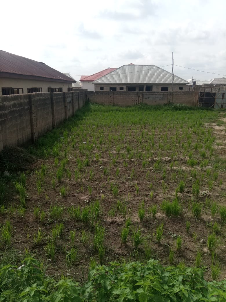Land for Sale in Minna, Niger State - 3