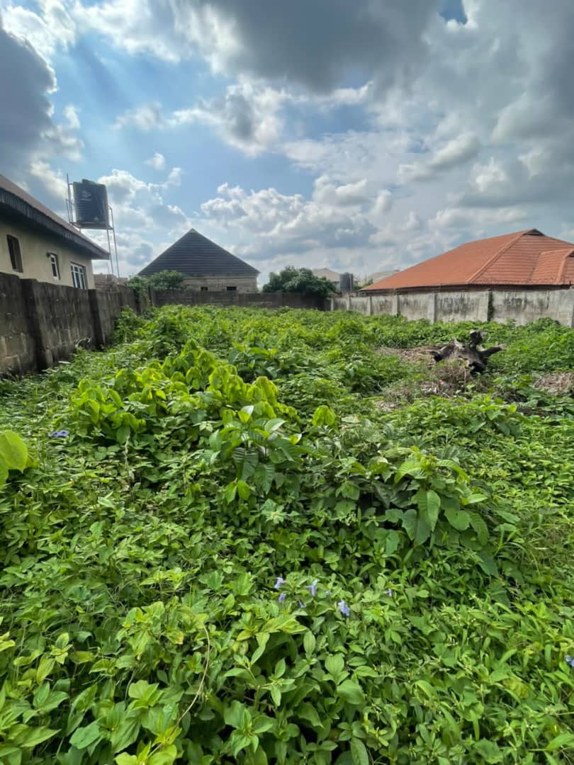 Fully Fenced Plot of Land for Sale in Wisdom Estate, Akobo