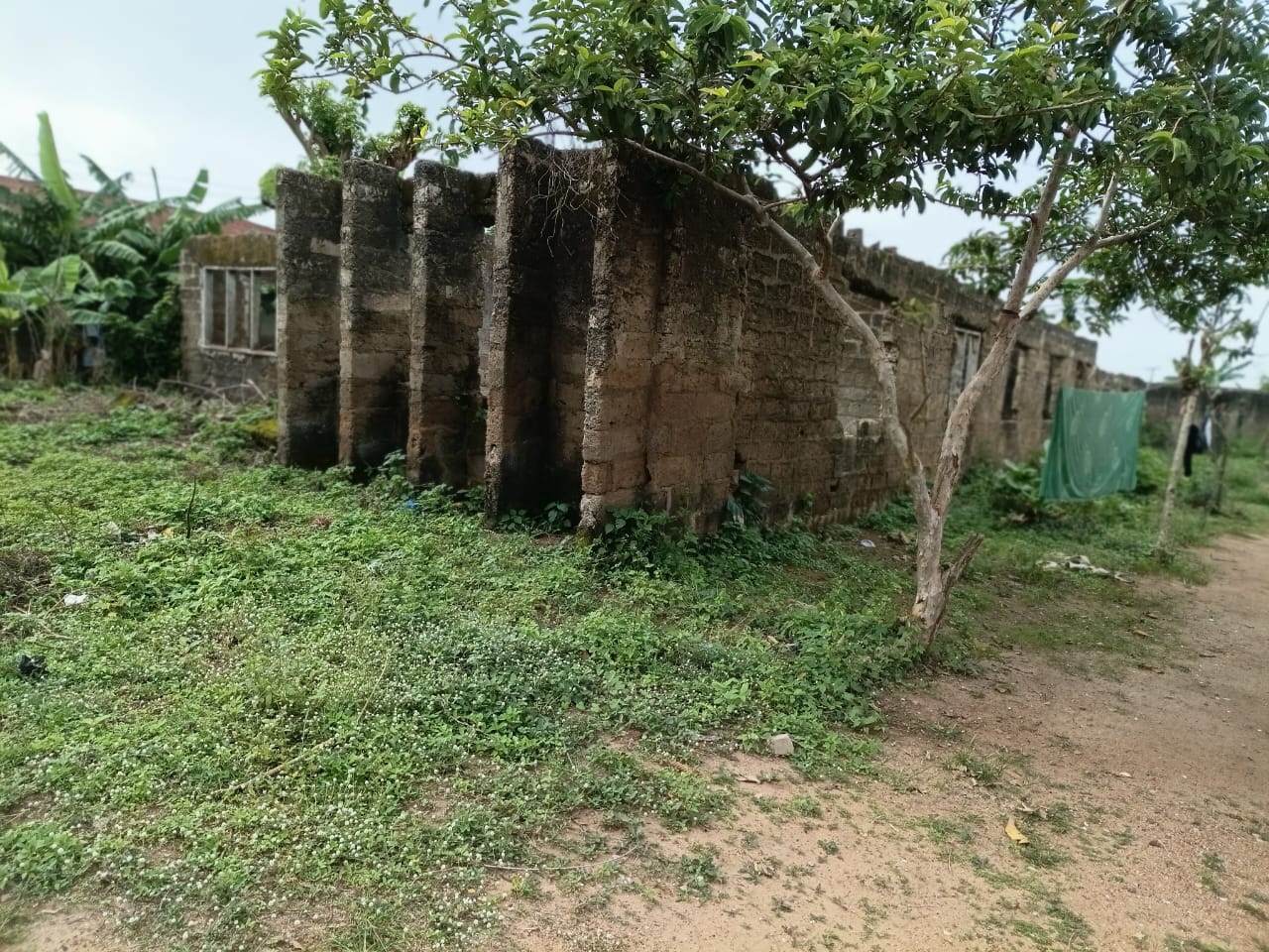 Self Contain for Rent in Ugele Estate
