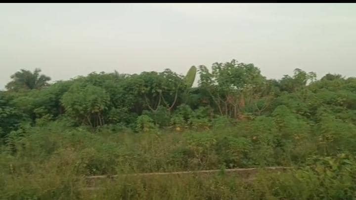 502 Sqm Land for Sale in Ajayi Apata Estate, Sangotedo