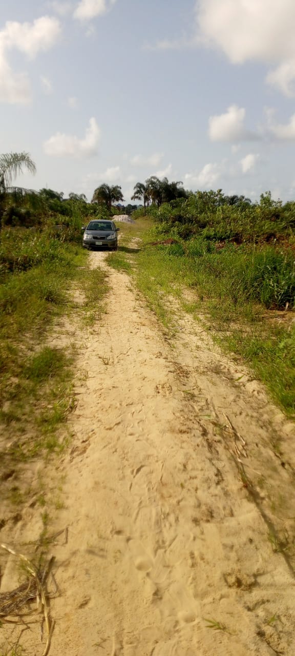 Distress Sale: Over 100 Plots of Land in Ibeju Lekki, Lagos