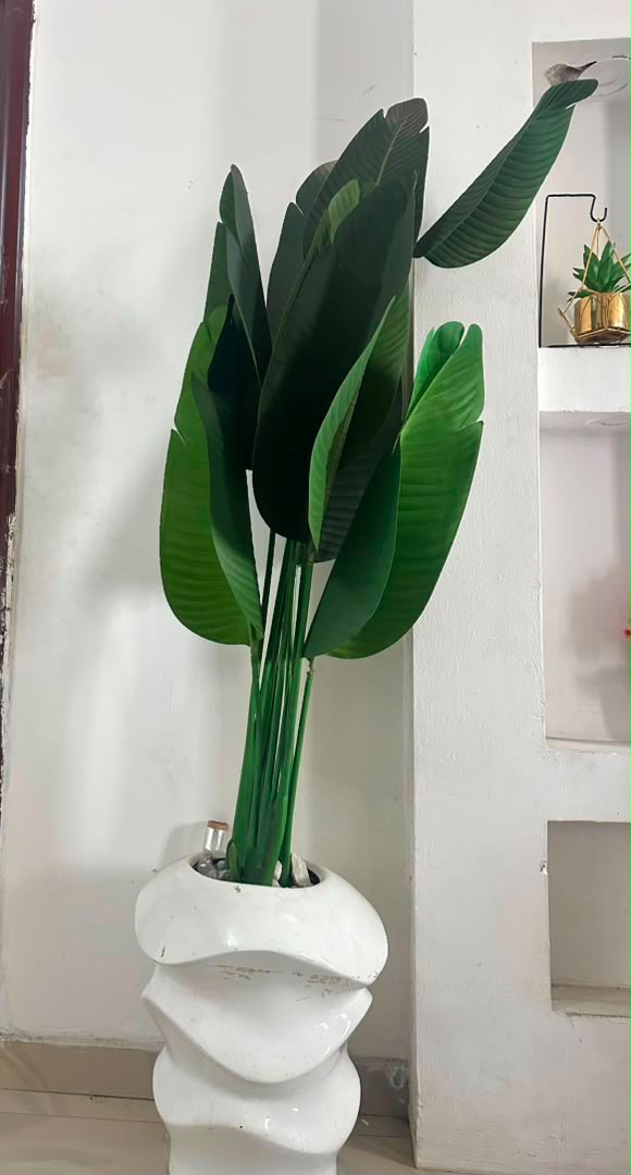 Flower Vase for Sale