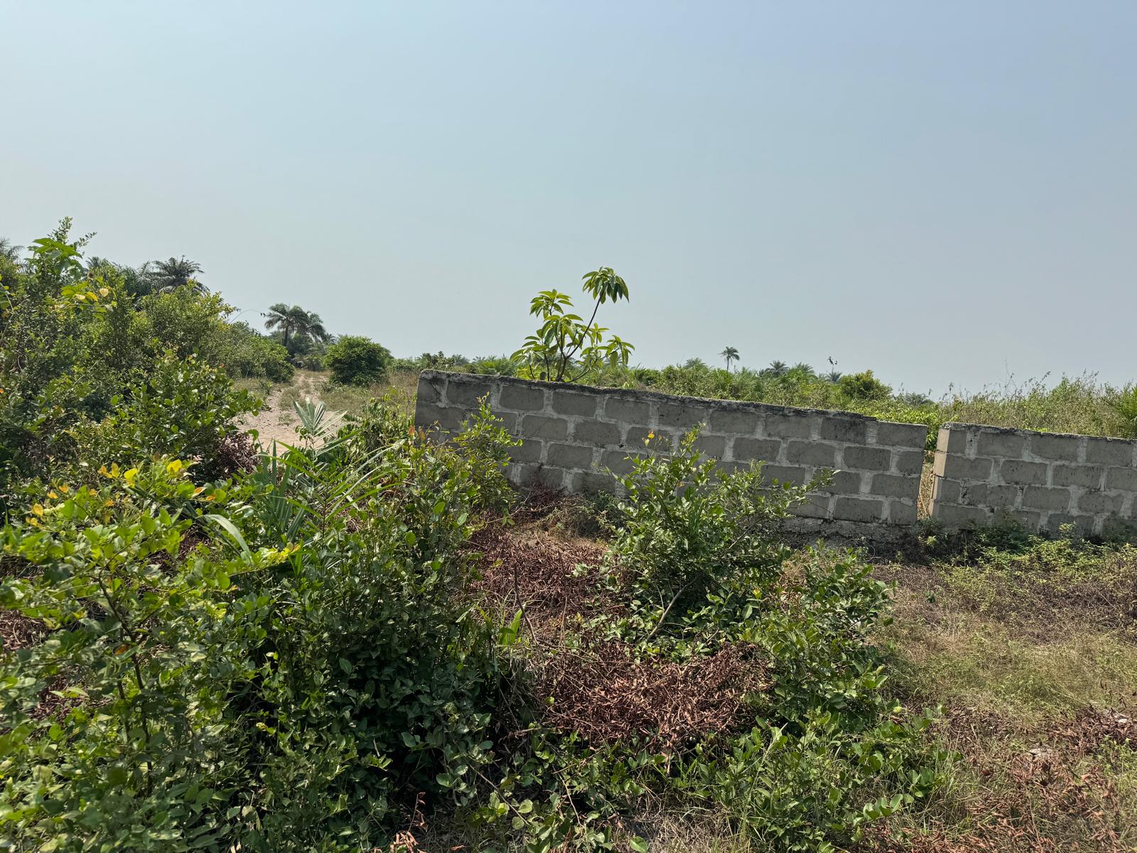 Residential Plot of Land for Sale at Spring Haven Estate, Ibeju-Lekki