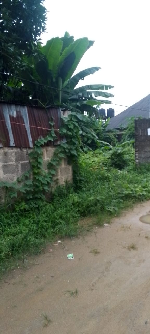 Plot of Land for Sale in Atali Palace Road, Port Harcourt