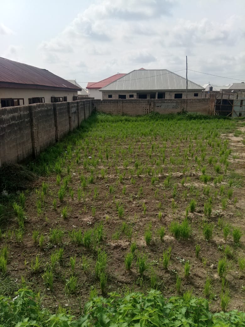Land for Sale in Minna, Niger State - 1