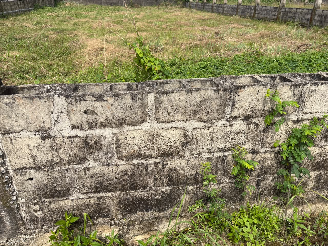 800sqm Fenced Land β Monastery Road, Sangotedo, Ajah