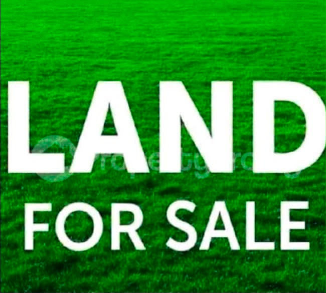 Mixed-use Corner Plot for Sale in Banana Island