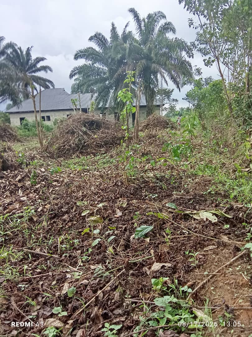 4 Plots of Land for Sale in Ali Egbelu Omuolu, Ikwerre LGA, Rivers State